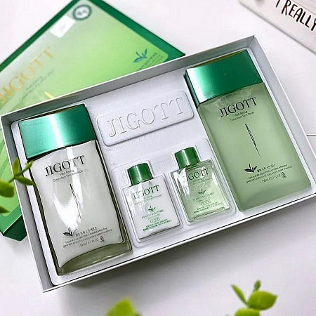 Jigott Набор по уходу за мужской кожей / Well-Being Green Tea Homme Skin Care 2 Set, 150 мл*2, 30 мл*2