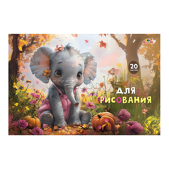 Тетрадь для рисования. Раскраска. 20л. офсет. обл.