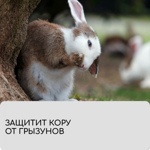 Лента для подвязки растений, 10 × 0,02 м, плотность 60 г/м²,  2 шт., спанбонд с УФ-стабилизатором, белая, Greengo, Эконом 20%