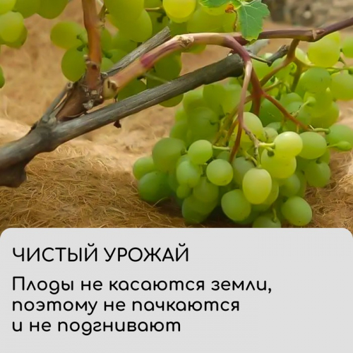 Круг приствольный, d = 0,4 м, из кокосового полотна,  5 шт., «Мульчаграм»