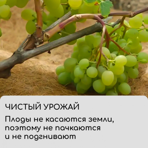 Круг приствольный, d = 0,75 м, из кокосового полотна,  5 шт., «Мульчаграм»