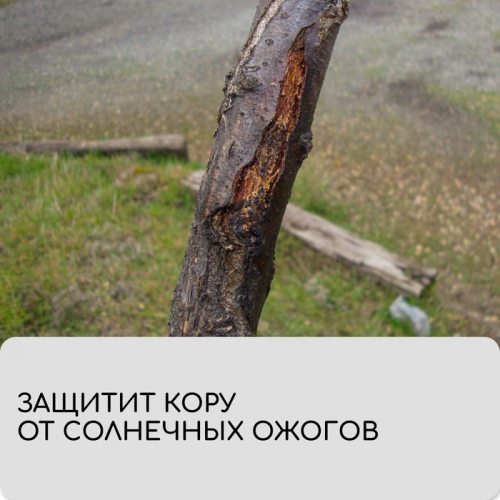 Лента для подвязки растений, 10 × 0,02 м, плотность 60 г/м²,  2 шт., спанбонд с УФ-стабилизатором, белая, Greengo, Эконом 20%
