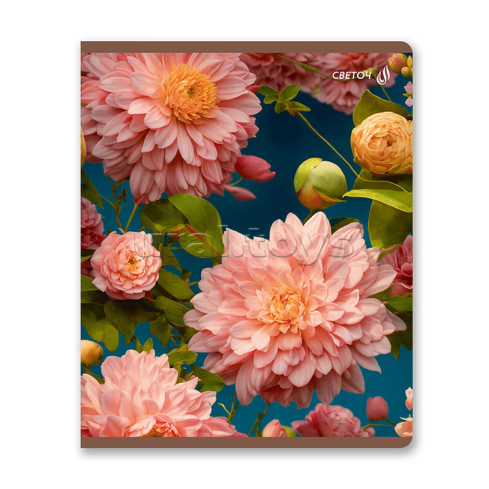 Тетрадь 60л. клетка