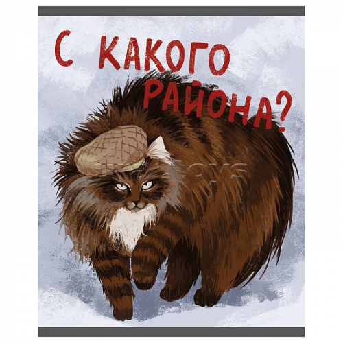 Тетрадь 48л. клетка 