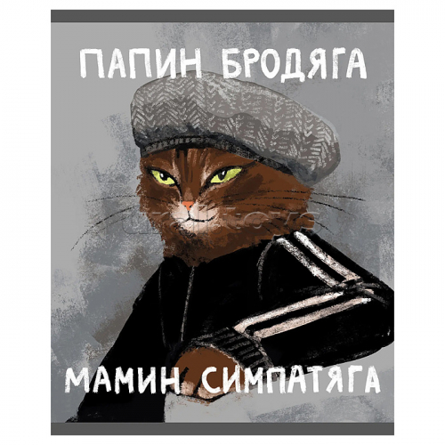 Тетрадь 48л. клетка 