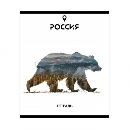Тетрадь 48л. клетка, А5 