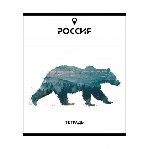 Тетрадь 48л. клетка, А5 