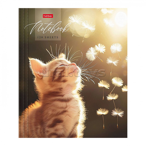 Тетрадь 120л 