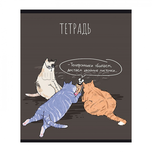 Тетрадь 24л. клетка А5 
