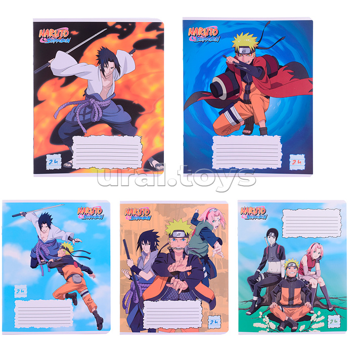 Тетрадь 24 л., линия А5