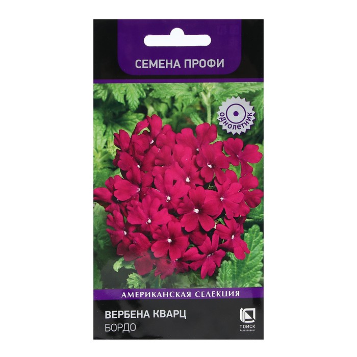 Семена цветов Вербена