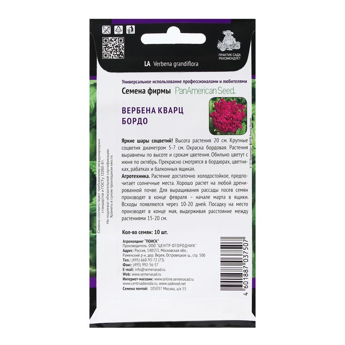 Семена цветов Вербена
