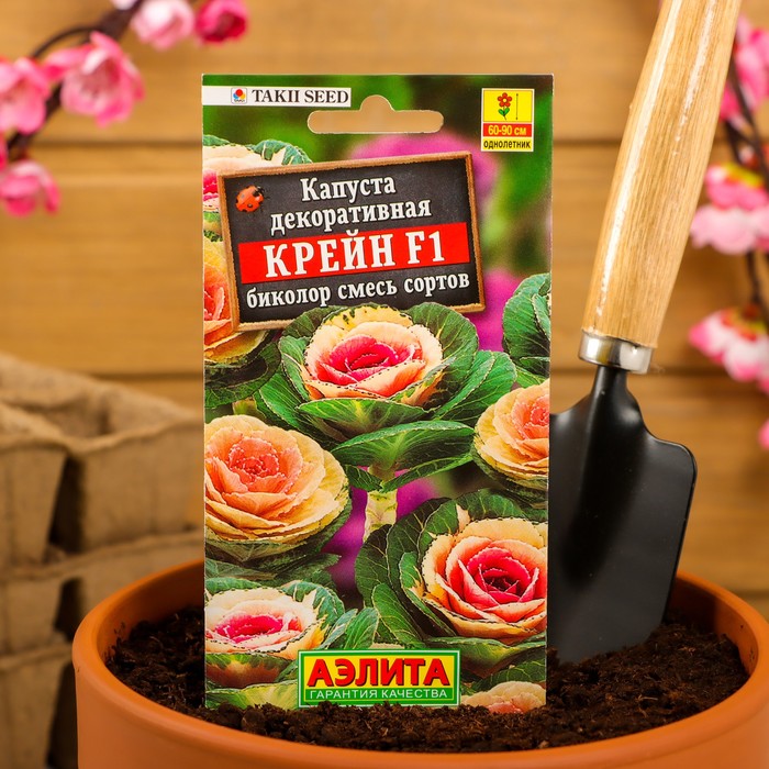 Семена цветов Капуста декоративная