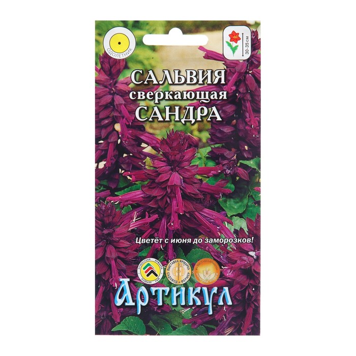 Семена Цветов Сальвия