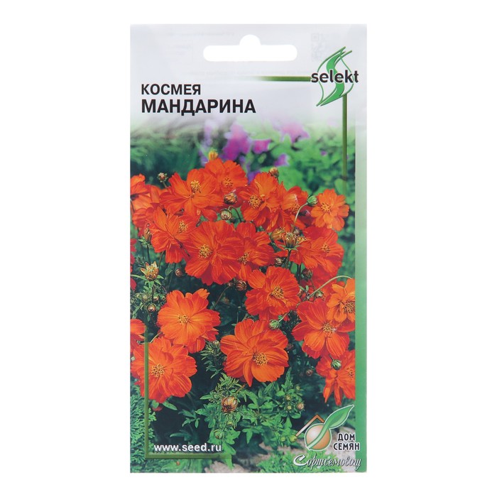 Семена цветов Космея