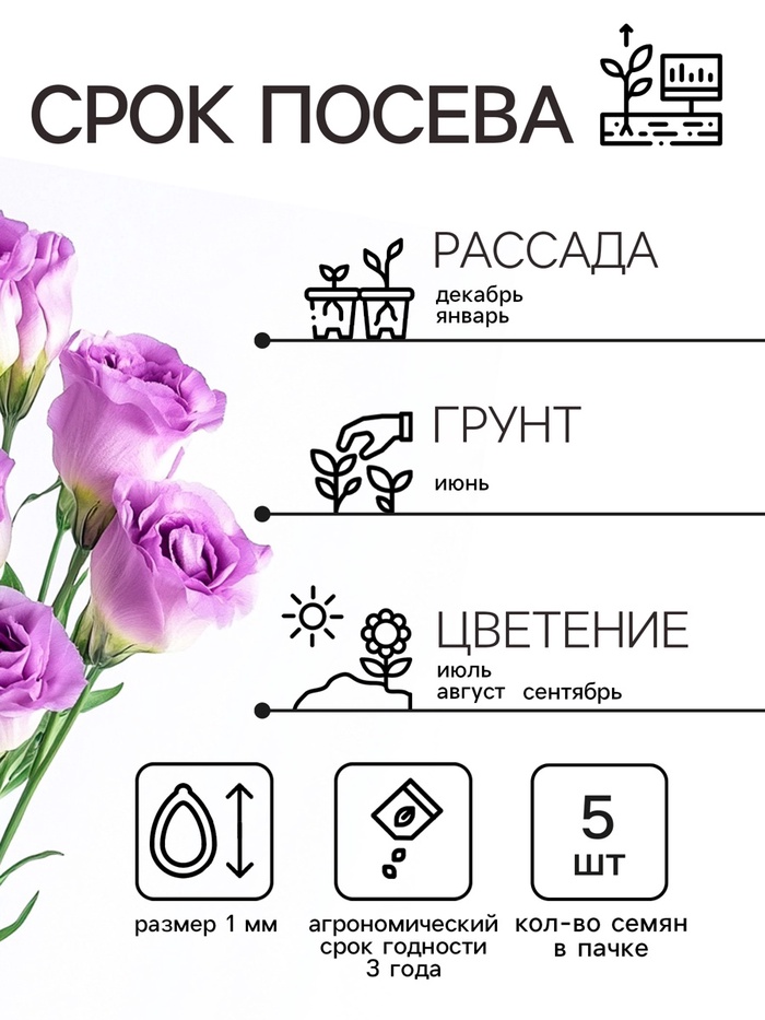 Семена Эустома