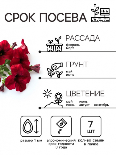 Семена Петуния Мамбо F1 пурпурная многоцветковая, 7 шт