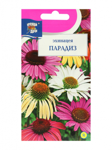 Семена цветов Эхинацея 