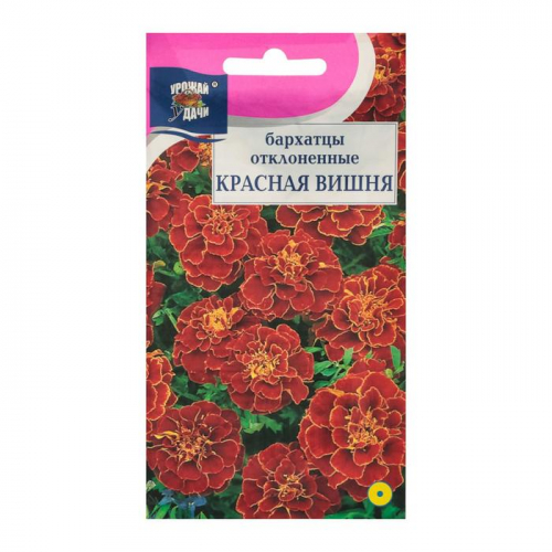 Семена цветов Бархатцы отклоненные 