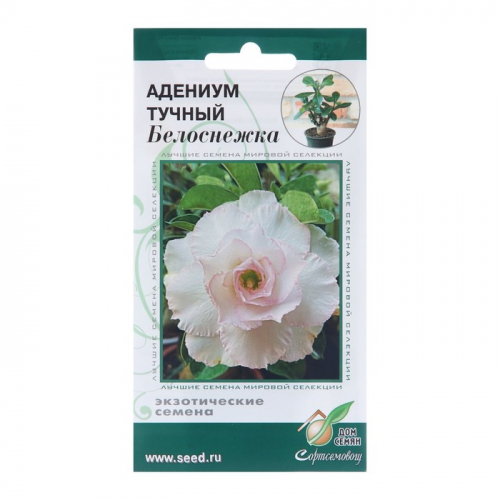 Семена цветов Адениум тучный 
