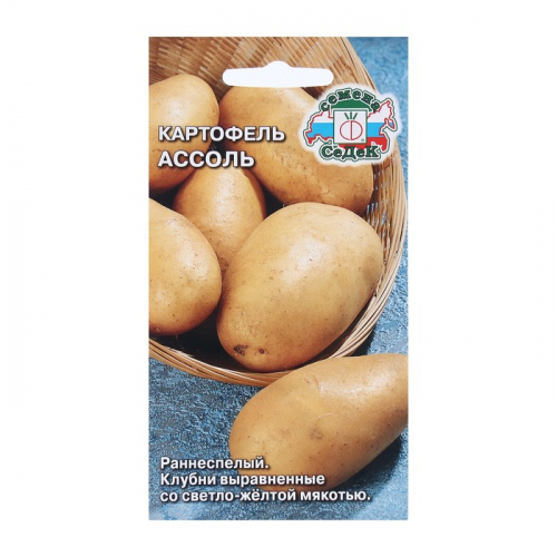 Семена Картофель  