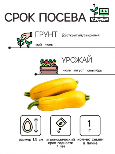 Семена Кабачок цуккини 