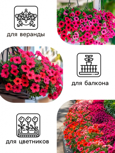 Семена цветов  Петуния Суперкаскадная 