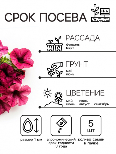 Семена Цветов Петуния 