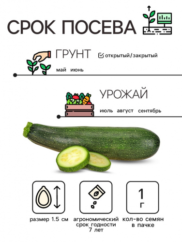 Семена Кабачок цуккини 