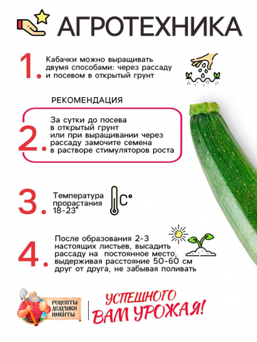 Семена Кабачок 