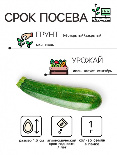 Семена Кабачок 