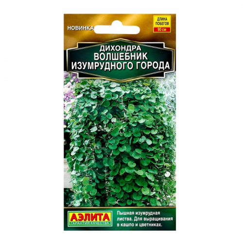 Семена цветов Дихондра 