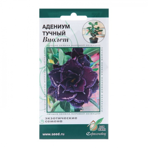Семена цветов Адениум тучный 