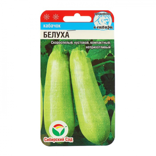 Семена Кабачок 