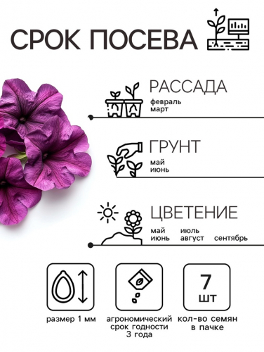 Семена  Петуния 