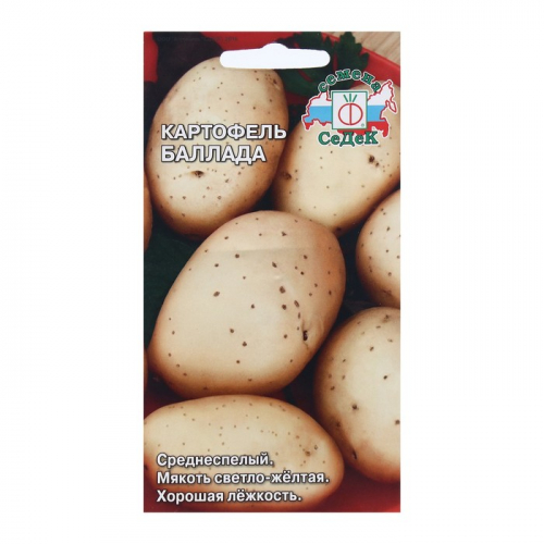 Семена Картофель  