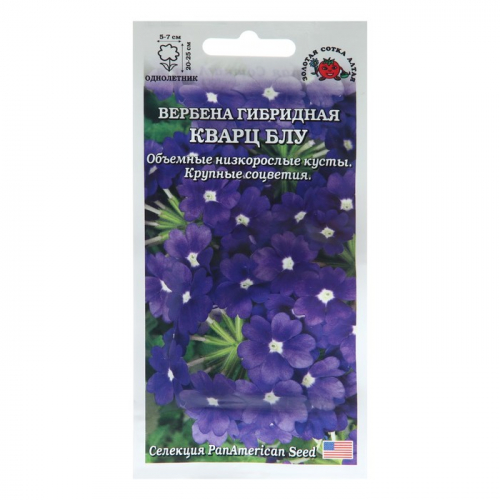Семена цветов Вербена 