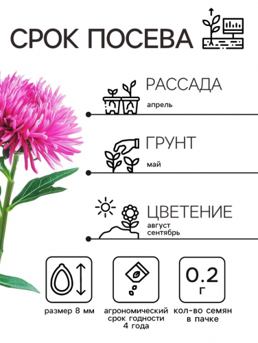 Семена   Астра Коготковая, смесь окрасок , 0,2г