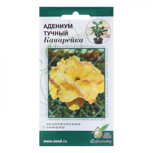 Семена цветов Адениум тучный 