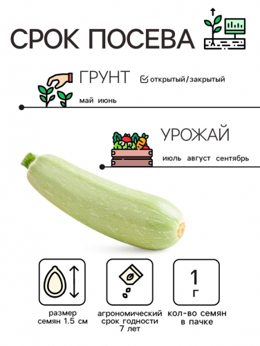 Семена Кабачок 
