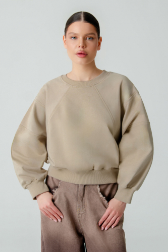 Арт. 15110/5 Свитшот женский укороченный one size (42-50)