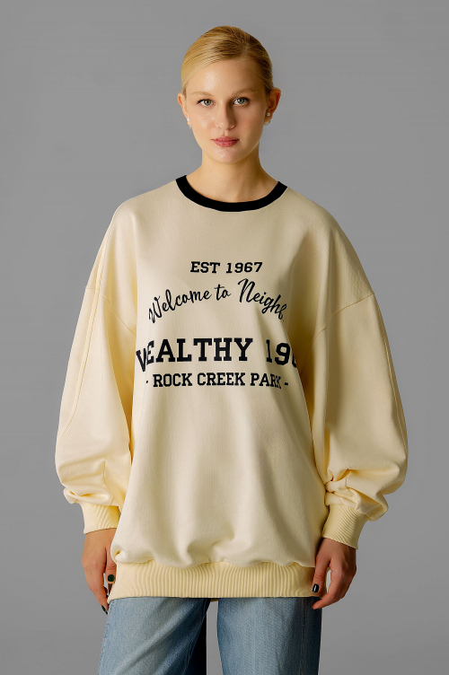 Арт. 15131 Свитшот женский оверсайз удлиненный 42-52 (3 шт)