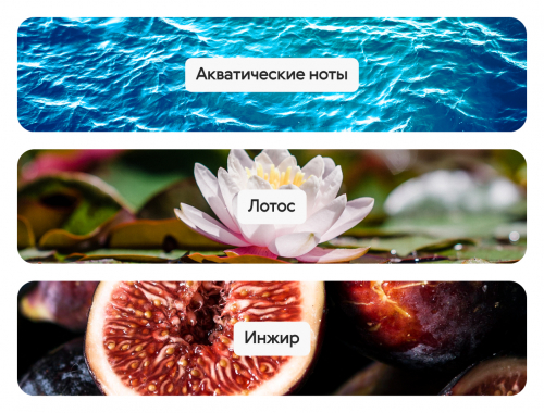 Fresh Fig & Sparkling Tangerine, парфюмерная вода - Aromapolis Olfactive Studio