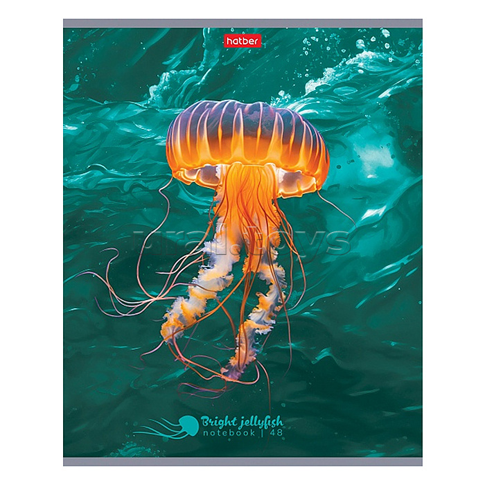 Тетрадь 48л клетка