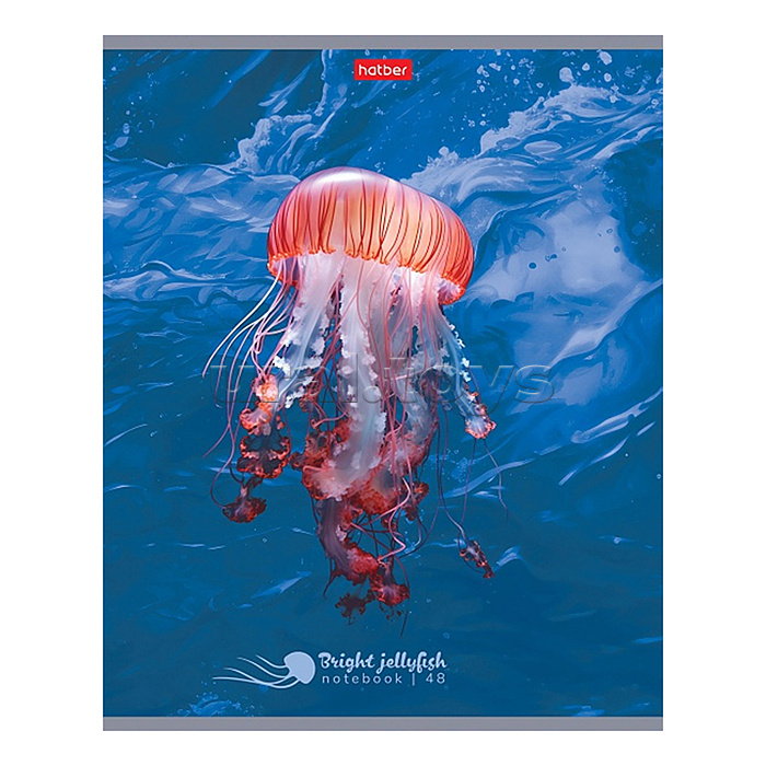 Тетрадь 48л клетка