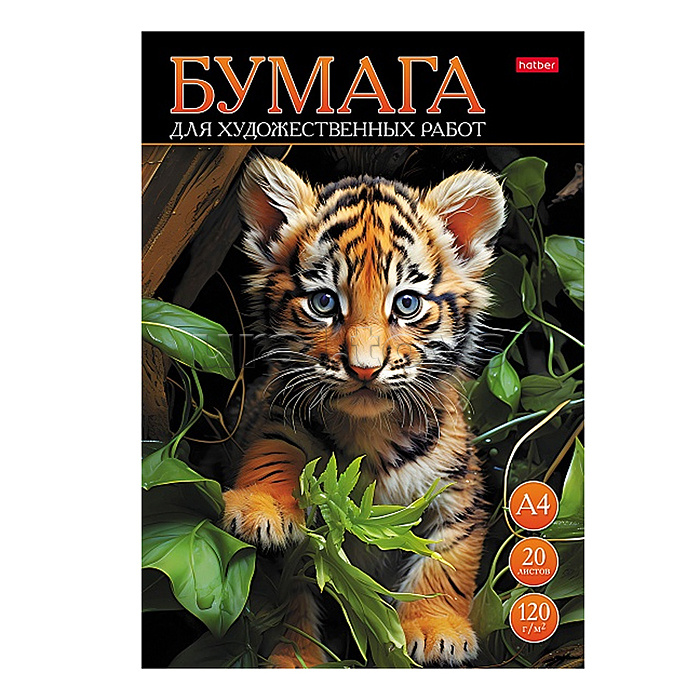 Набор бумаги для рисования и художественных работ А4 20л