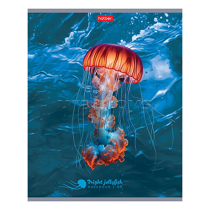 Тетрадь 48л клетка