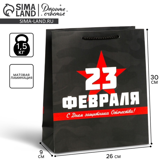 Пакет подарочный ламинированный вертикальный, упаковка, «С 23 февраля», M 26 х 30 х 9 см