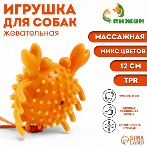 Игрушка массажная для собак 