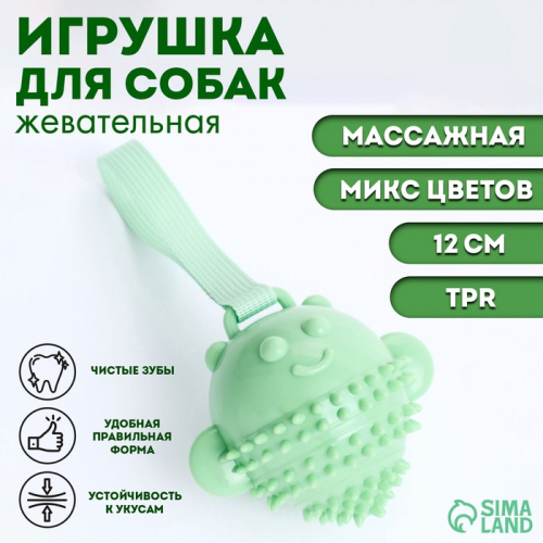 Игрушка массажная для собак 